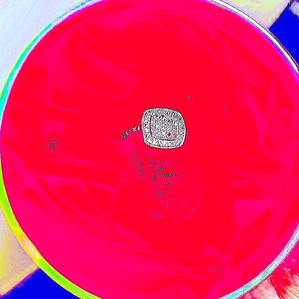 ❤️New Diamond White Gold Ring❣️ Size 7.  16 chocolate diamonds & white diamonds. - Picture 3 of 6